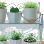 スタッフやお客様が定着するコツ